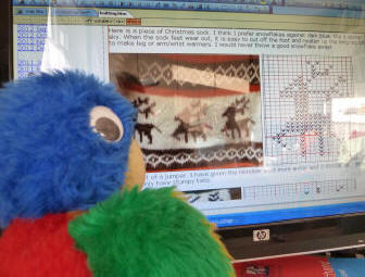 Blue Parrot checking the Knitting page