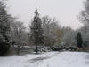 Snow in park 1