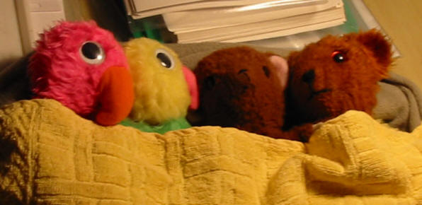 Pink Parrot, Yellow Parrot, Brown Teddy and Yellow Teddy on Christmas Eve