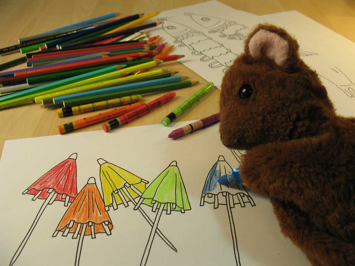 Brown Teddy colouring