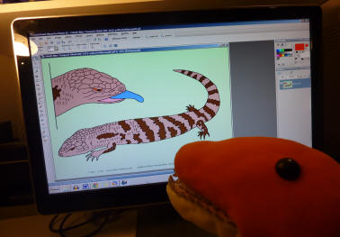 Dino filling in line drawing of Cobalt the Bllue-Tongued Skink