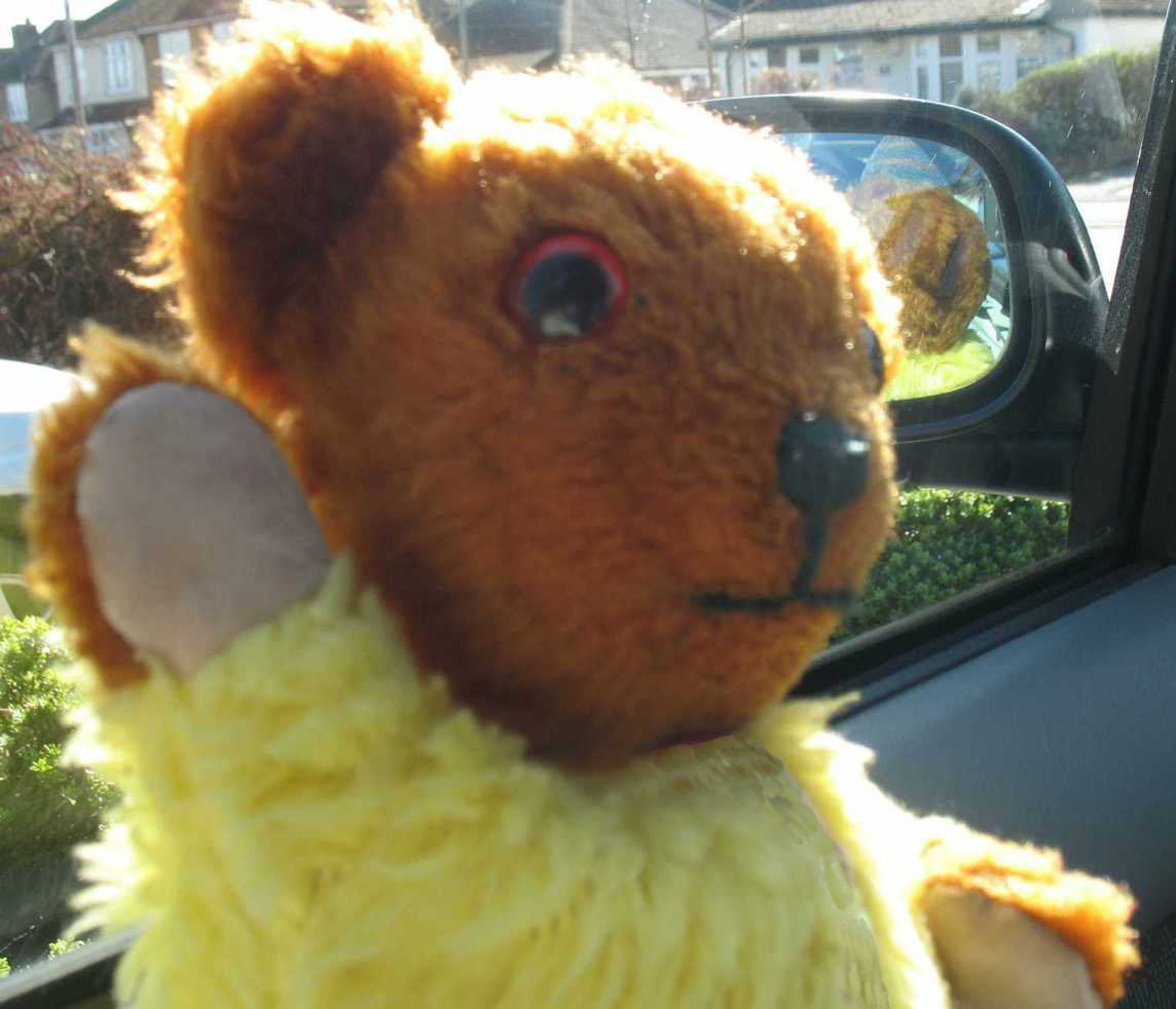 Yellow Teddy in car