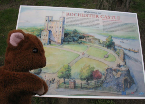 Brown Teddy Rochester Castle