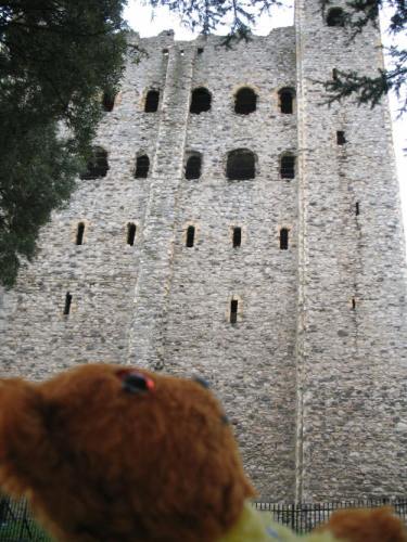 Yellow Teddy Rochester Castle