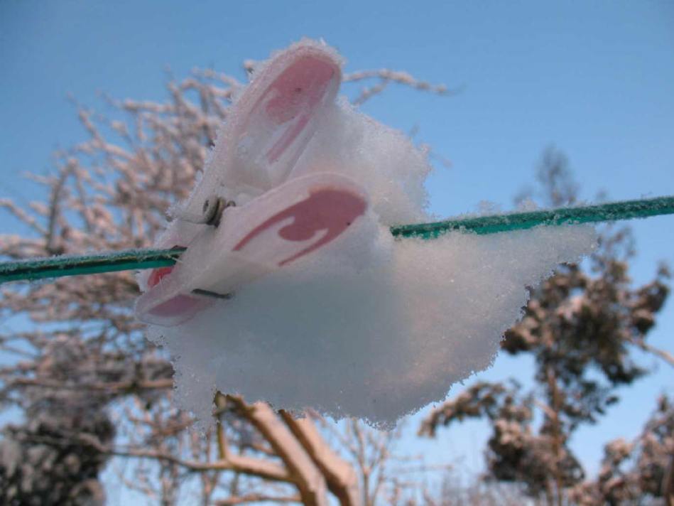 Washing line peg with snowy tail