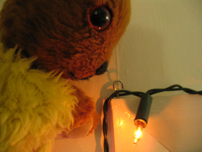 Yellow Teddy putting the hooks in for the Christmas lights