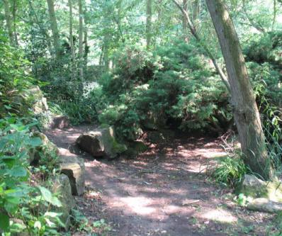 Danson Park woods for hide and seek and rock climbing