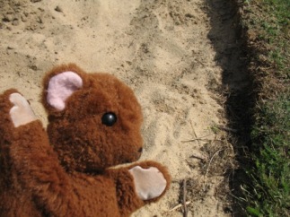 Brown Teddy in Mote Park sandpit