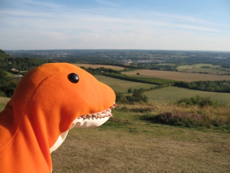 Dino looking out from Blue Bell Hill
