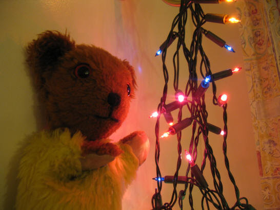 Yellow Teddy with Christmas lights