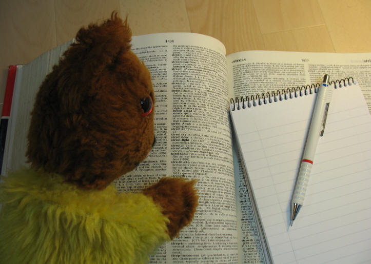 Yellow Teddy reading dictionary