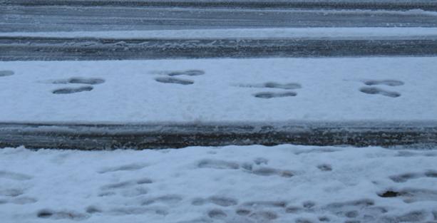 Snowy footprints in pairs