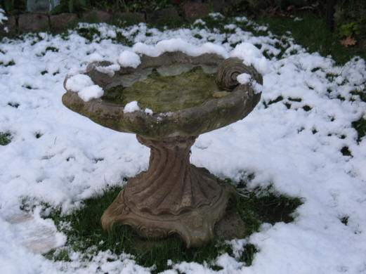 Snowy birdbath