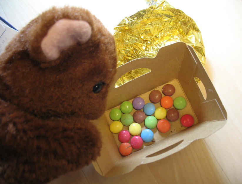 Brown Teddy counting chocolate beans