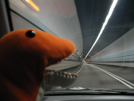 Dino going through Dartford Tunnel