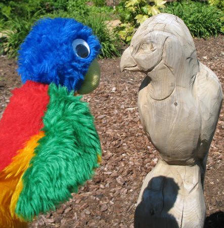 Parrot with wooden bird Stockwood Park Luton
