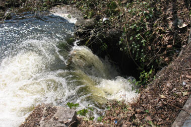 Mill Road weir going down hole