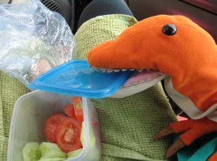 Dino with lunch