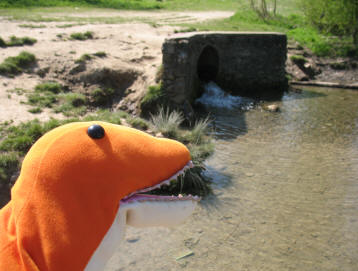 Dino watching the water entering the lake in Mote Park Maidstone