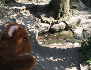 Brown Teddy at the waterfall Mote Park Maidstone