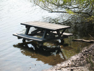 Picnic table in the water at Mote Park Maidstone