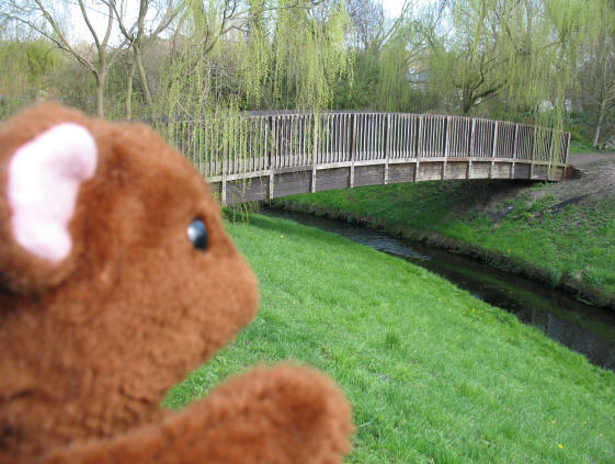 Brown Teddy and wooden bridge over River Cray