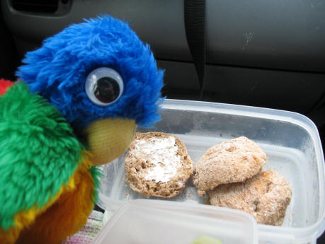 Blue Parrot's bun snack