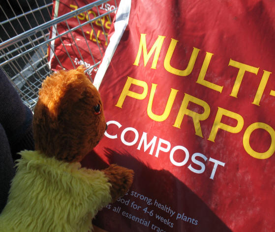 Yellow Teddy buying the compost