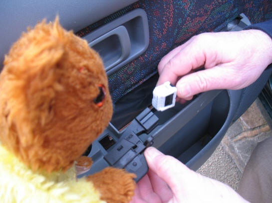 Yellow Teddy watching car window switch being installed