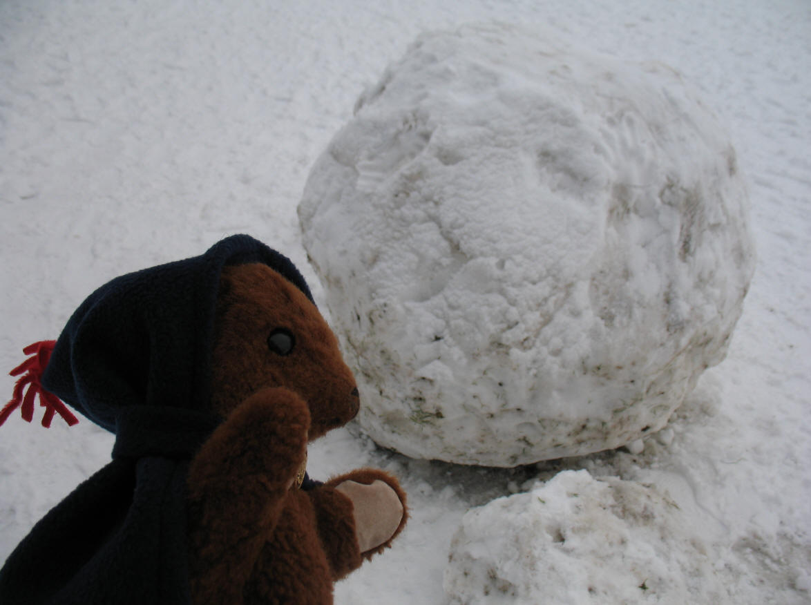 Brown Teddy with giant snowball at Poverest Recreation Ground