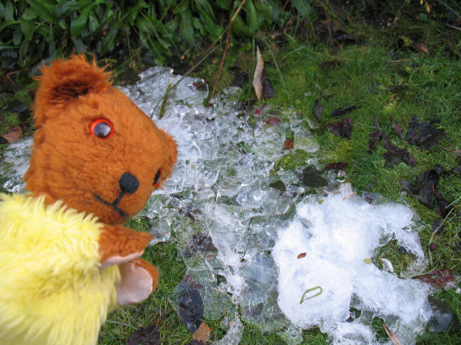 Yellow Teddy with last bits of ice