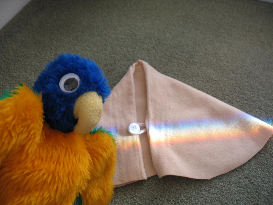 Blue Parrot with rainbow on cape