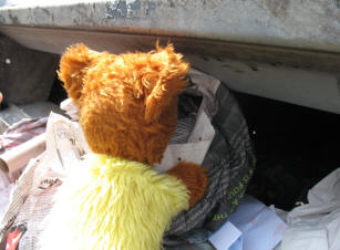 Yellow Teddy recycling paper