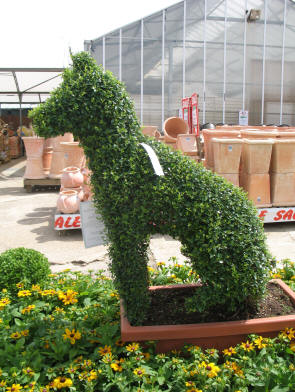 Topiary dog, Polhill Garden Centre