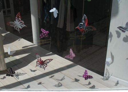 Shop window butterflies, Tonbridge Wells