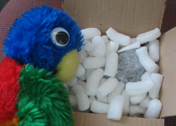 Blue Parrot opening box
