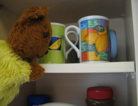Yellow Teddy looking in new cupboard