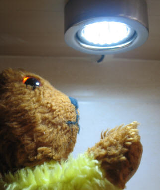 Yellow Teddy with worktop light