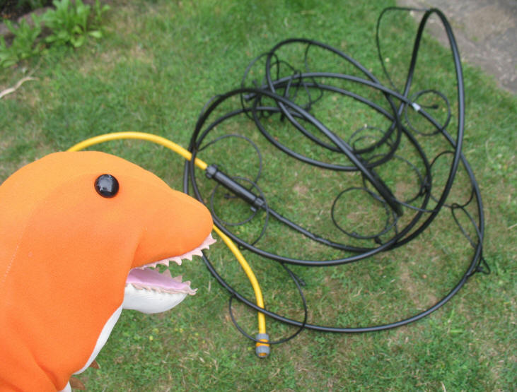 Dino with watering hose