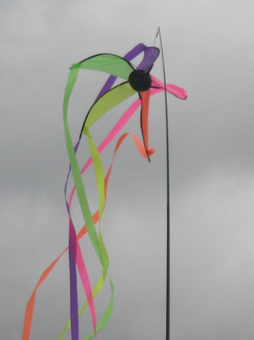 Wind vane with tails
