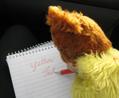Yellow Teddy practising writing