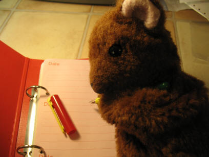 Brown Teddy with new diary