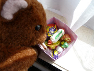 Brown Teddy keeping the sweets in the folded paper box