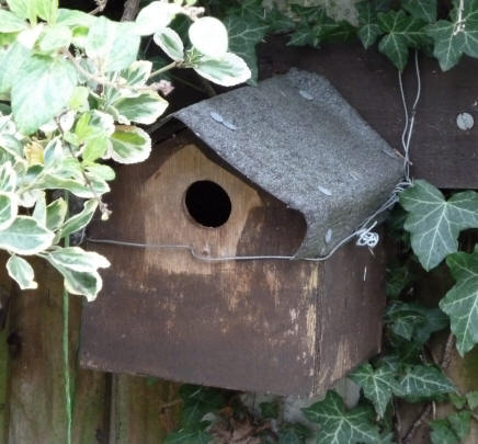 Nest box No.1