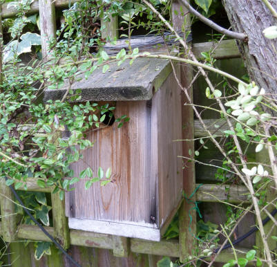 Nest box No.2