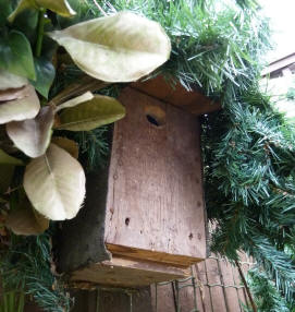 Bluetit nestbox