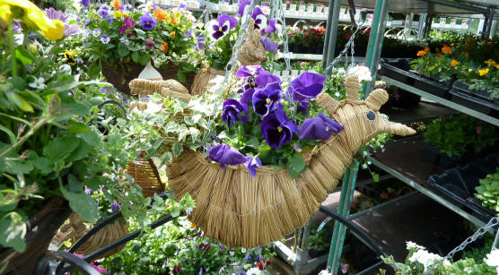 Chicken-shaped basket with flowers