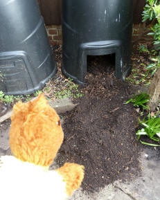 Yellow Teddy with compost bins