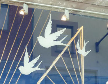 birds shop window
