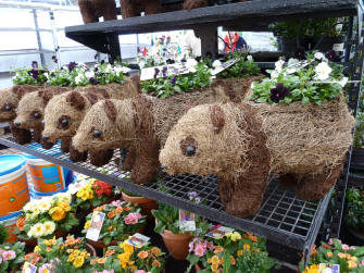 Straw panda plant holders